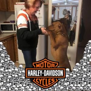 Meet your Posher, Sharon